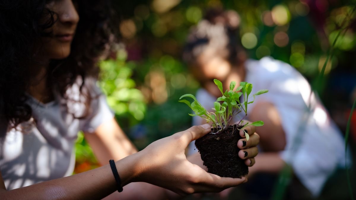 101 Dias com Ações Mais Sustentáveis para Mudar o Mundo-Foto-Sephi Bergerson-Getty Images
