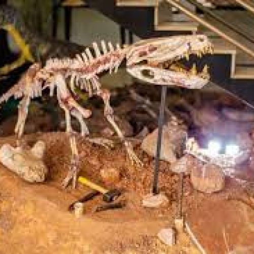 10 Cidades Brasileiras que mais encontraram com Fósseis de Dinossauros